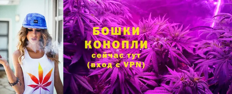 Бошки марихуана THC 21%  Злынка 